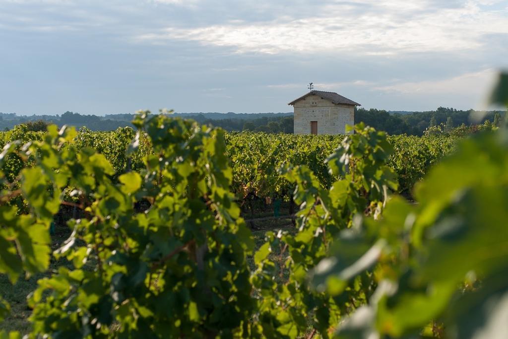 Bed and Breakfast Les Raisins Du Bonheur Puisseguin Zewnętrze zdjęcie