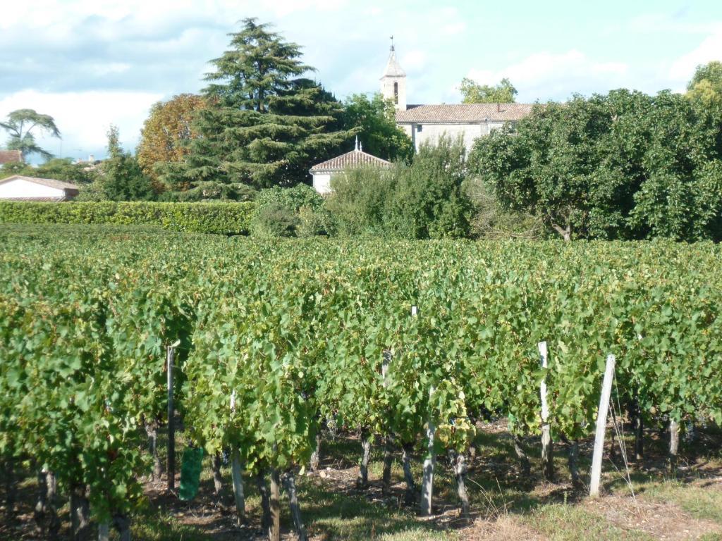 Bed and Breakfast Les Raisins Du Bonheur Puisseguin Zewnętrze zdjęcie
